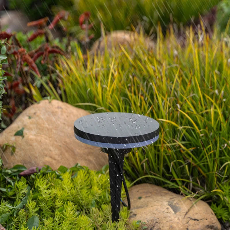 S2cf24ddd15f54aab9d920ba245994408b